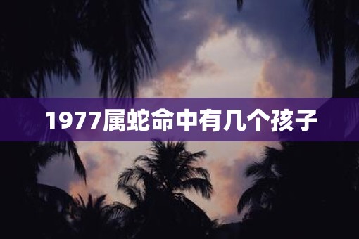 1977属蛇命中有几个孩子