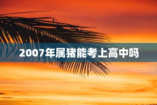 2007年属猪能考上高中吗