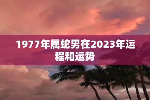 1977年属蛇男在2023年运程和运势