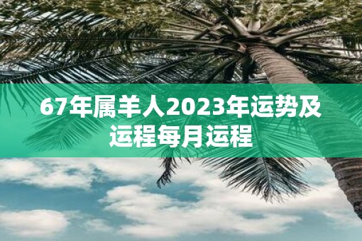 67年属羊人2023年运势及运程每月运程