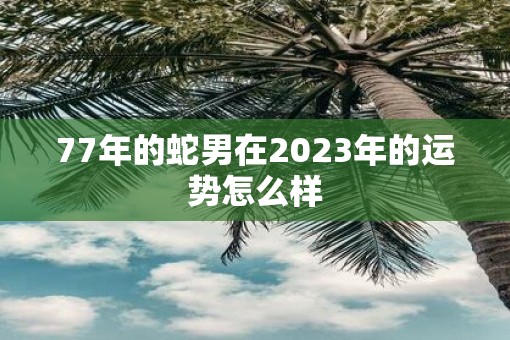 77年的蛇男在2023年的运势怎么样