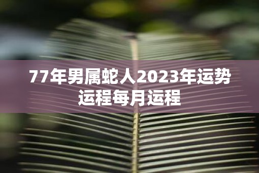 77年男属蛇人2023年运势运程每月运程