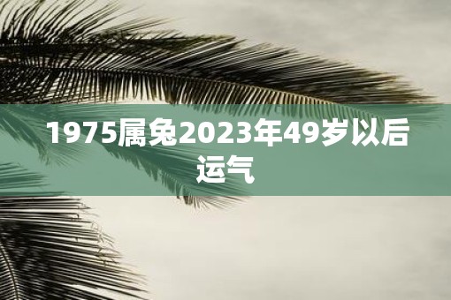 1975属兔2023年49岁以后运气