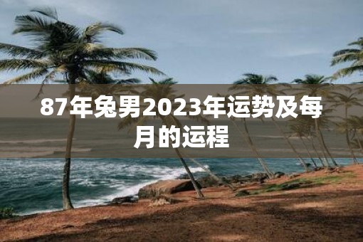 87年兔男2023年运势及每月的运程