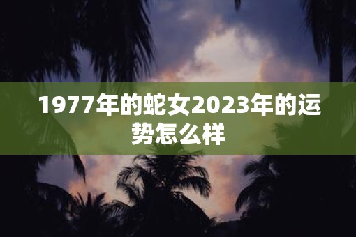 1977年的蛇女2023年的运势怎么样