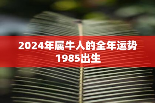 2024年属牛人的全年运势1985出生