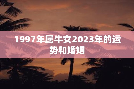 1997年属牛女2023年的运势和婚姻