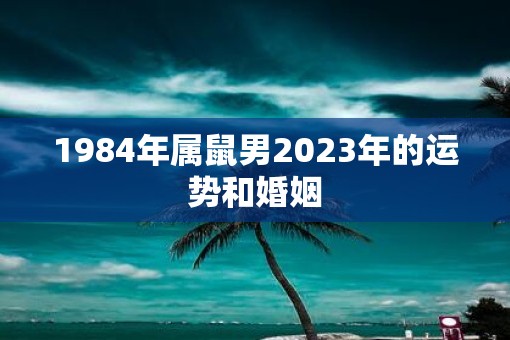 1984年属鼠男2023年的运势和婚姻