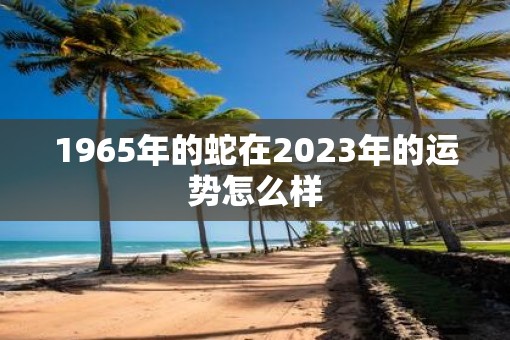 1965年的蛇在2023年的运势怎么样