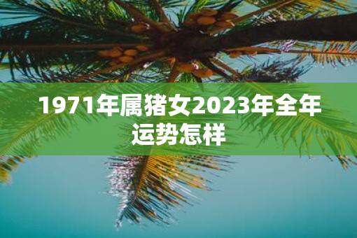 1971年属猪女2023年全年运势怎样