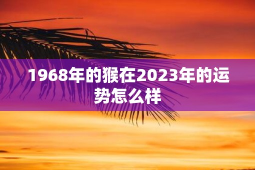 1968年的猴在2023年的运势怎么样