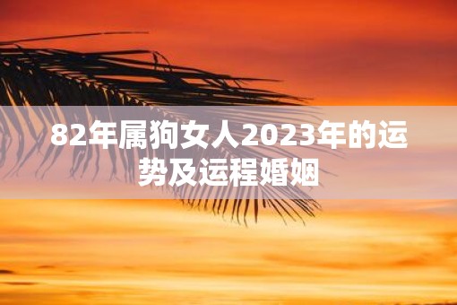 82年属狗女人2023年的运势及运程婚姻