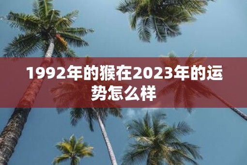 1992年的猴在2023年的运势怎么样