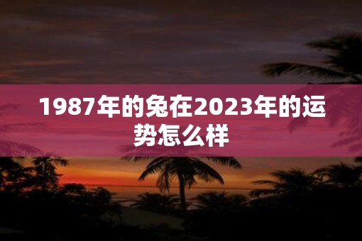 1987年的兔在2023年的运势怎么样