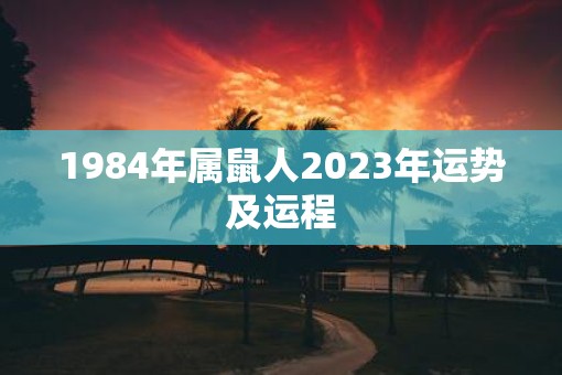 1984年属鼠人2023年运势及运程