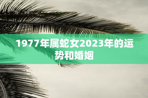 1977年属蛇女2023年的运势和婚姻