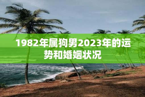 1982年属狗男2023年的运势和婚姻状况