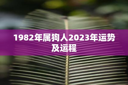 1982年属狗人2023年运势及运程