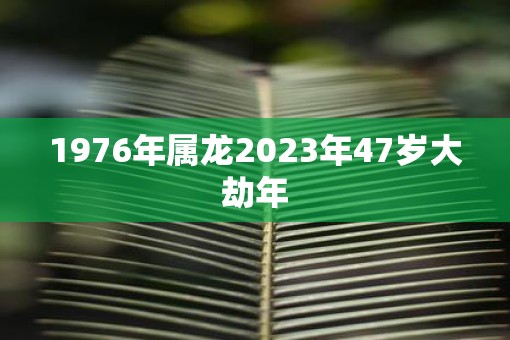 1976年属龙2023年47岁大劫年