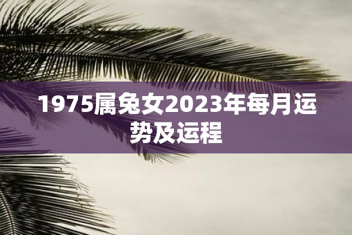 1975属兔女2023年每月运势及运程