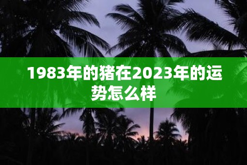 1983年的猪在2023年的运势怎么样