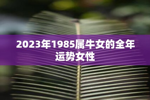 2023年1985属牛女的全年运势女性