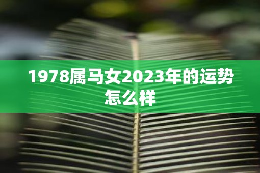 1978属马女2023年的运势怎么样