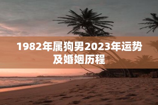 1982年属狗男2023年运势及婚姻历程