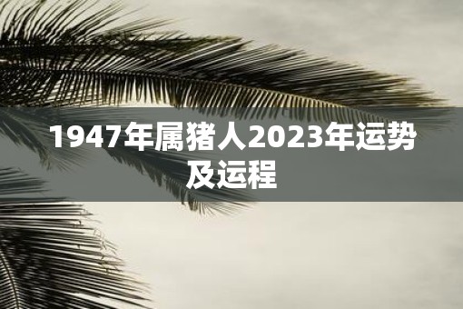 1947年属猪人2023年运势及运程