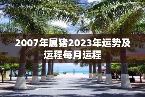 2007年属猪2023年运势及运程每月运程