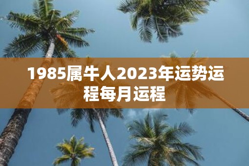 1985属牛人2023年运势运程每月运程