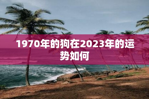 1970年的狗在2023年的运势如何