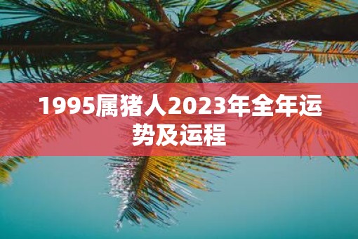 1995属猪人2023年全年运势及运程