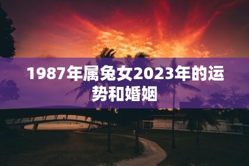 1987年属兔女2023年的运势和婚姻