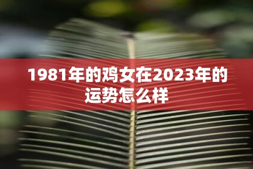 1981年的鸡女在2023年的运势怎么样