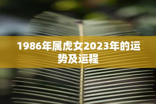 1986年属虎女2023年的运势及运程