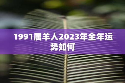 1991属羊人2023年全年运势如何