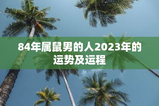 84年属鼠男的人2023年的运势及运程