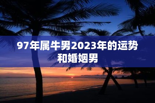 97年属牛男2023年的运势和婚姻男