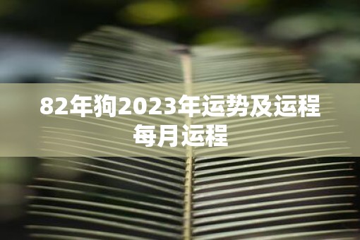 82年狗2023年运势及运程每月运程