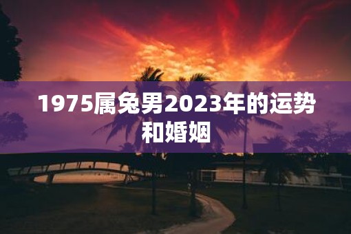 1975属兔男2023年的运势和婚姻