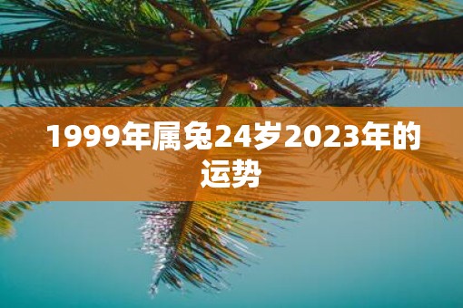 1999年属兔24岁2023年的运势