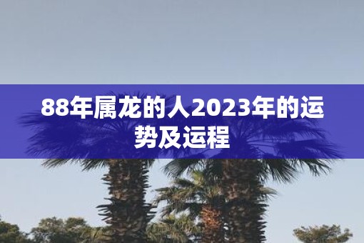 88年属龙的人2023年的运势及运程