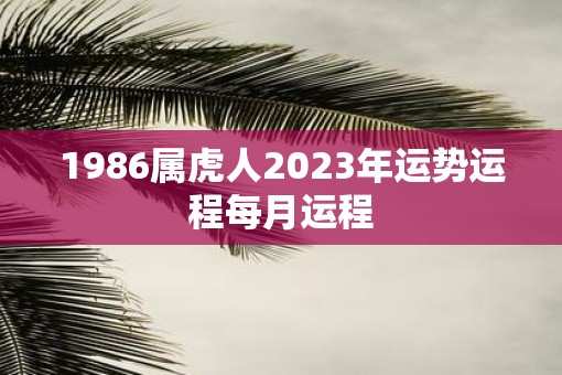 1986属虎人2023年运势运程每月运程