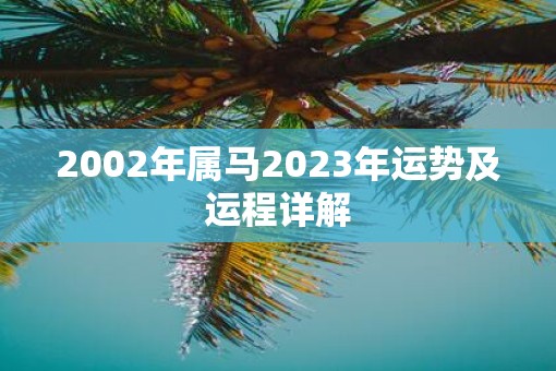 2002年属马2023年运势及运程详解