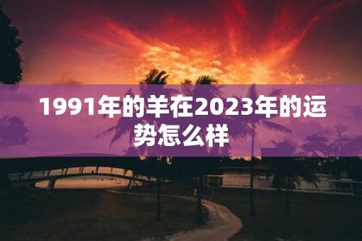 1991年的羊在2023年的运势怎么样