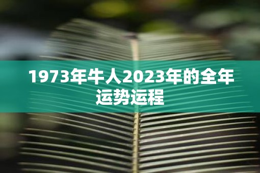 1973年牛人2023年的全年运势运程