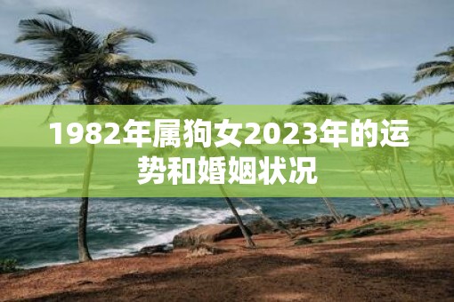 1982年属狗女2023年的运势和婚姻状况