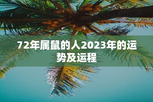 72年属鼠的人2023年的运势及运程