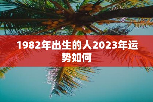 1982年出生的人2023年运势如何